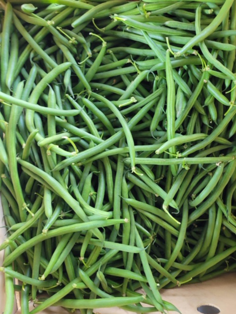 Beans