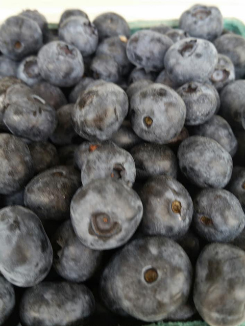 Blueberries