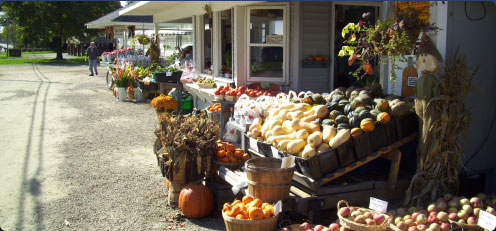 Yerico Farms Market