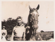 Horses on the farm