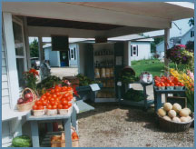 Fresh Veggies and Fruit - all for sale
