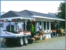 Fresh Veggies and Fruit - all for sale